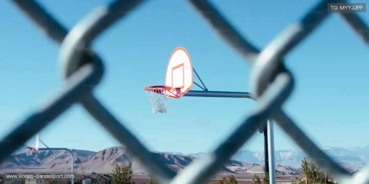 巅峰对决，谁主沉浮？🔥⚽️🏀